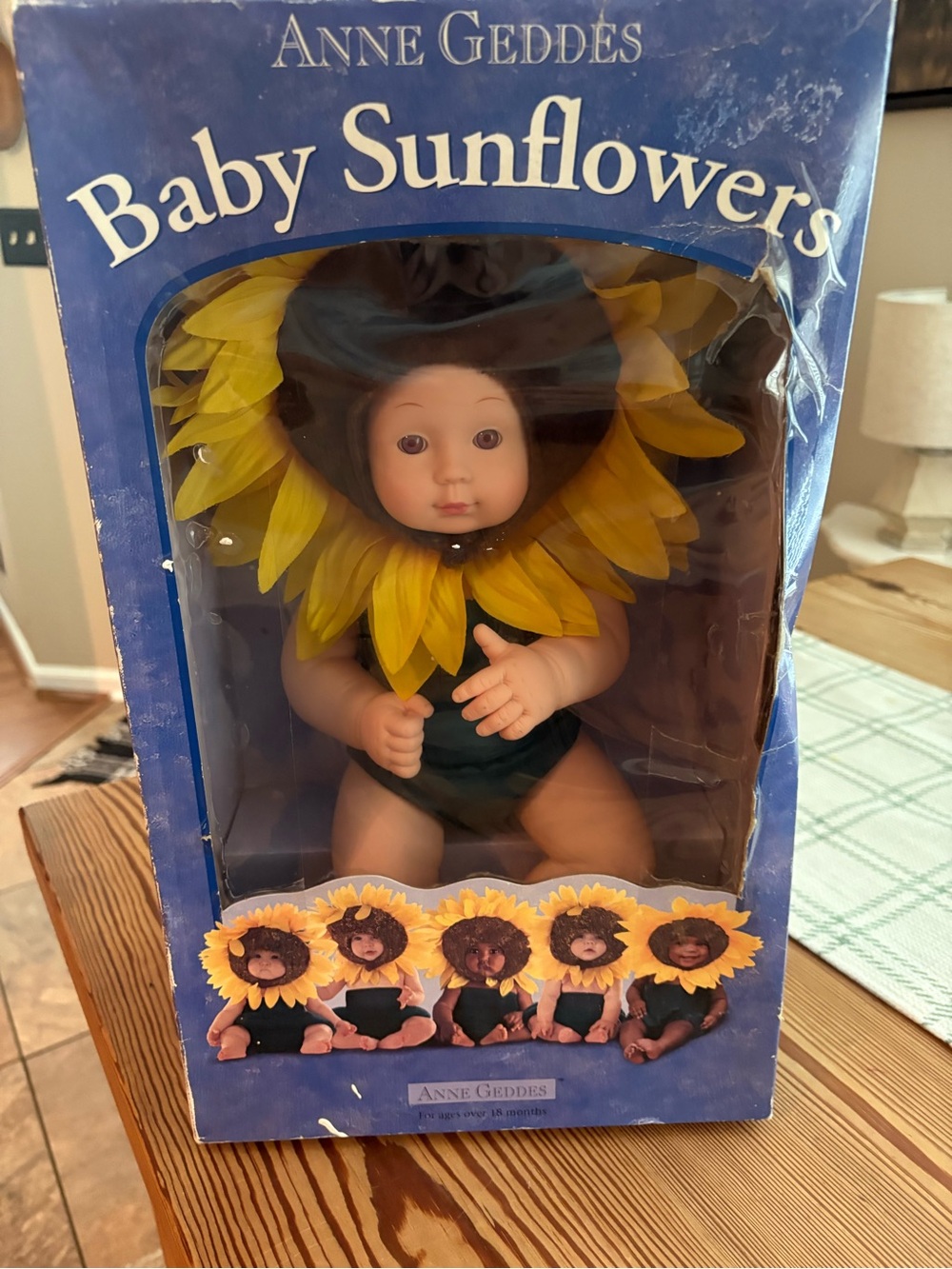 Anne Geddes Baby Sunflowers Box - Blue Packaging